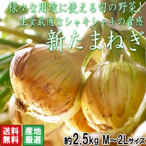 新たまねぎ 玉葱 約2.5kg M～2Lサイズ 佐賀県産中心 大容量のお得な国産野菜！新鮮な旬の味をお届け02