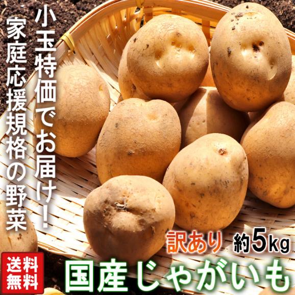 国産じゃがいも 小玉限定 約5kg 2S～Mサイズ 訳あり 日本全国より旬のジャガイモをお届け！ 産地厳選02