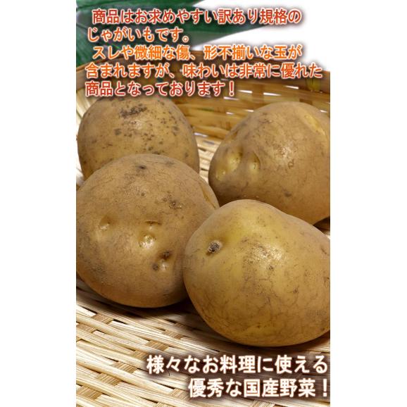国産じゃがいも 小玉限定 約5kg 2S～Mサイズ 訳あり 日本全国より旬のジャガイモをお届け！ 産地厳選03