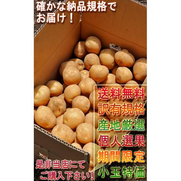国産じゃがいも 小玉限定 約5kg 2S～Mサイズ 訳あり 日本全国より旬のジャガイモをお届け！ 産地厳選05