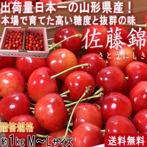 佐藤錦 さくらんぼ 約1kg M〜Lサイズ 贈答規格 山形県産 秀品 本場で育てた新鮮な果実に抜群の味!栄養豊富な旬のギフトフルーツ02