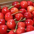 佐藤錦 さくらんぼ 約2kg M〜Lサイズ 贈答規格 山形県産 秀品 本場で育てた新鮮な果実に抜群の味！栄養豊富な旬のギフトフルーツ