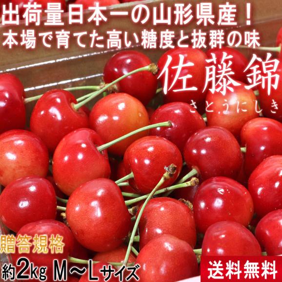 佐藤錦 さくらんぼ 約2kg M〜Lサイズ 贈答規格 山形県産 秀品 本場で育てた新鮮な果実に抜群の味！栄養豊富な旬のギフトフルーツ02