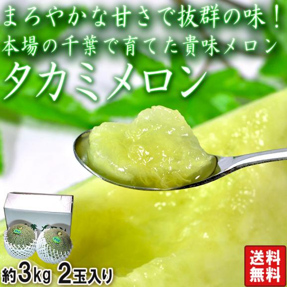 タカミメロン 青肉メロン 約3kg 2玉 千葉県産 濃厚な甘さと爽やかな風味!旬の味わいをお届け02
