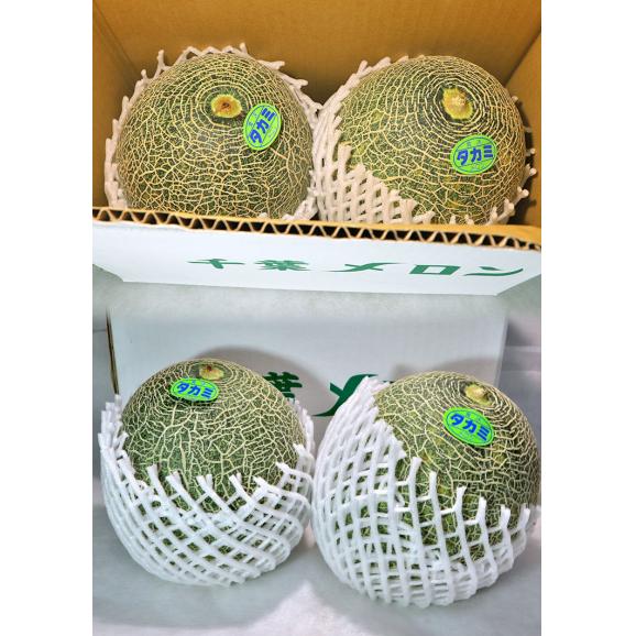タカミメロン 青肉メロン 約3kg 2玉 千葉県産 濃厚な甘さと爽やかな風味!旬の味わいをお届け03