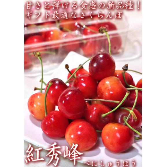 紅秀峰 さくらんぼ 約800g(200g&times;4パック) M～2Lサイズ 山形県産 高い糖度と控えめな酸味のフルーツ！03