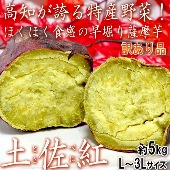 土佐紅 とさべに 早堀りさつまいも 約5kg L～3Lサイズ 高知県産 訳あり品 ほくほくの食感と上品な甘さの新芋！お得な家庭用の薩摩芋02