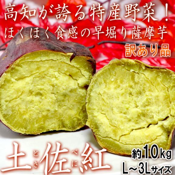 土佐紅 とさべに 早堀りさつまいも 約10kg L～3Lサイズ 高知県産 訳あり品 ほくほくの食感と上品な甘さの新芋！お得な家庭用の薩摩芋02