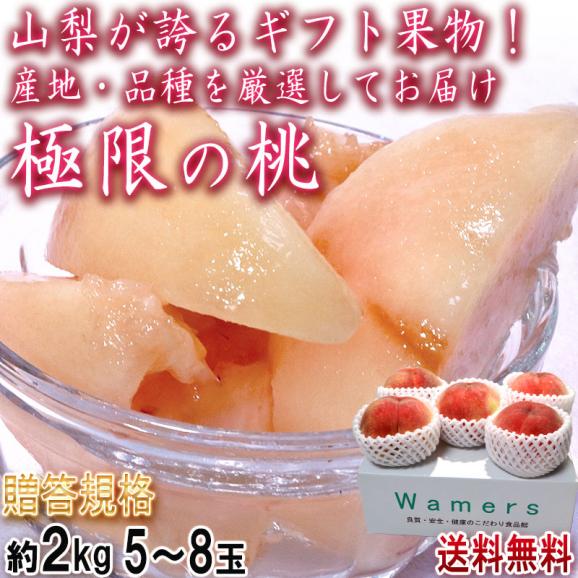 お中元ギフト 極限の桃 約2kg 大玉限定 5~8玉前後 山梨県産 白鳳・白桃・加野岩白桃・浅間白桃・川中島白桃・なつっこ・あかつき等品種リレー02