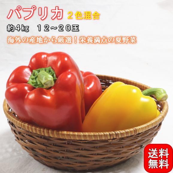 パプリカ 2色混合 約4kg 12~20玉 韓国台湾等 栄養豊富な海外産パプリカ!様々なお料理で使える夏野菜【野菜ソムリエ/フルーツマイスターが選ぶ!】02