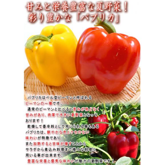 パプリカ 2色混合 約4kg 12~20玉 韓国台湾等 栄養豊富な海外産パプリカ!様々なお料理で使える夏野菜【野菜ソムリエ/フルーツマイスターが選ぶ!】03