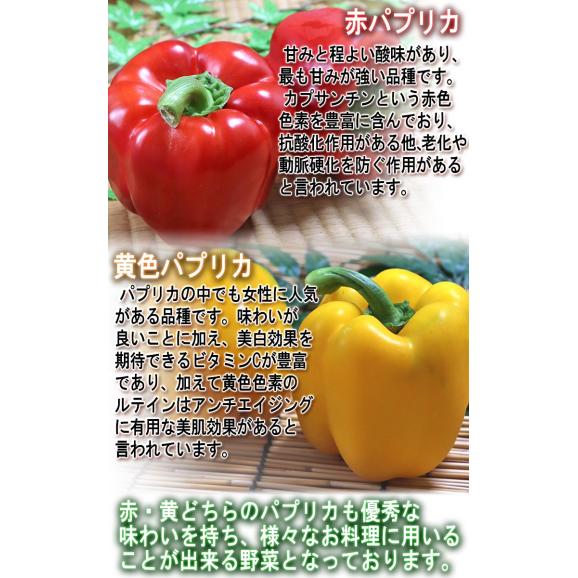 パプリカ 2色混合 約4kg 12～20玉 韓国台湾等 栄養豊富な海外産パプリカ！様々なお料理で使える夏野菜【野菜ソムリエ/フルーツマイスターが選ぶ！】02