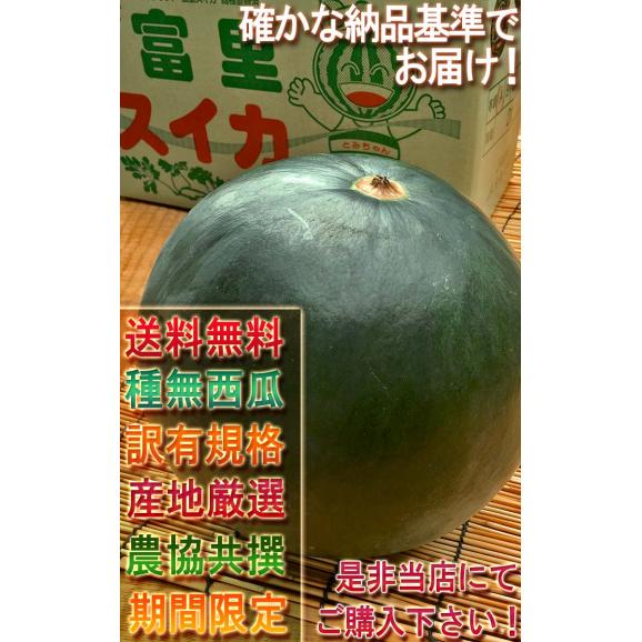 ブラックジャック 種無し西瓜 1玉 約5~7kg 千葉県産 訳あり品 黒皮の果実に抜群の味!地域ブランドの富里産中心スイカ05