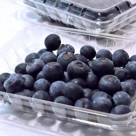 送料無料 千葉で育てた抜群の鮮度と美味しさ！