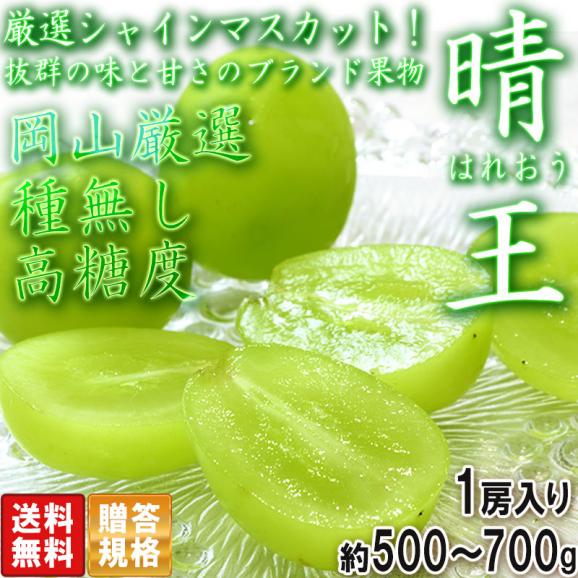 晴王 はれおう 厳選シャインマスカット 種無し白ぶどう 約500~700g 1房 岡山県産 贈答規格 ギフト葡萄 皮ごと食べる濃厚な甘さの特産品フルーツ!02