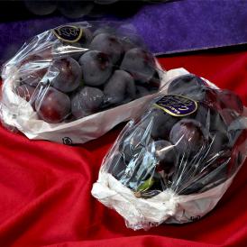 オーロラブラック 黒ぶどう 約800g～1kg 2房入り  岡山県産 贈答規格 JA共撰品 種無し葡萄 美しい大粒と抜群の味！お中元に最適な特産品ブドウ