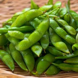枝豆 えだまめ 約250g×4パック 千葉県・茨城県産 冷蔵便配送 おつまみから料理まで使える当店自慢の国産野菜！