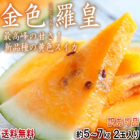 金色羅皇 こんじきらおう 約5~7kg 2玉 神奈川県産 訳あり品 非常に高い糖度が魅力の大玉スイカ!02