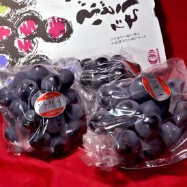 ブラックビート 黒葡萄 約1kg 2～4房 岡山県産 贈答規格 JA晴れの国岡山 藤稔とピオーネから生まれた高糖度ブドウ！濃厚な味と爽やかな風味 ぶどう