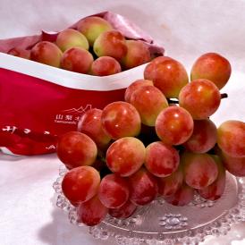サンシャインレッド 赤葡萄 約1～1.2kg 2房 山梨県産 贈答規格 華やかな香りと高い糖度が魅力の新品種ぶどう！シャインマスカットから生まれた山梨オリジナル品種
