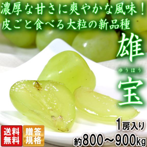 雄宝 ゆうほう 白葡萄 約800～900g 1房 贈答規格 山梨・岡山県産 シャインマスカットから生まれた新品種！濃厚な甘さと爽やかな風味02