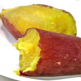 早堀りさつまいも あまはづき・紅はるか・シルクスイートなど 約5kg 千葉県・茨城県産 訳あり品 旬のおいしさを一足先にお届け！さっぱりした甘さとほくほくの食感