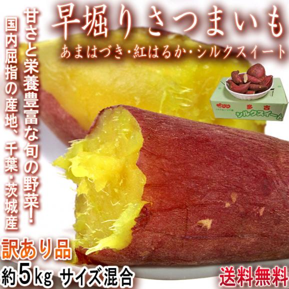 早堀りさつまいも あまはづき・紅はるか・シルクスイートなど 約5kg 千葉県・茨城県産 訳あり品 旬のおいしさを一足先にお届け！さっぱりした甘さとほくほくの食感02