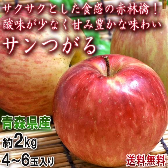 つがる 赤りんご 約2kg 4~6玉 青森県産 酸味が少ない人気の赤林檎!抜群の美味しさをお届け02