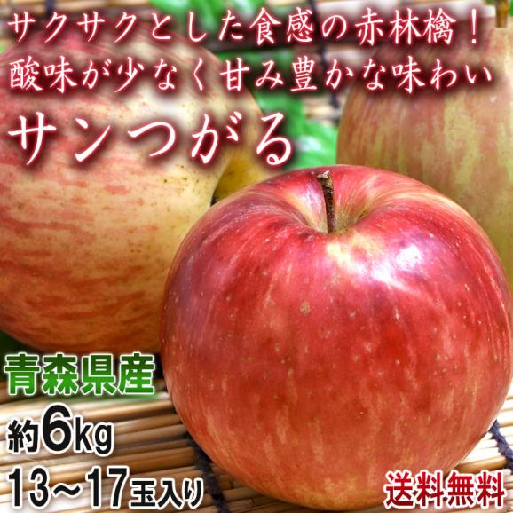 つがる 赤りんご 約6kg 13~17玉 青森県産 酸味が少ない人気の赤林檎!抜群の美味しさをお届け02