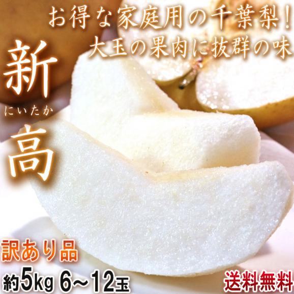 新高 特大梨 約5kg 6~12玉 千葉県産 訳あり品 大玉の果実にジューシーな果肉!お得な家庭用のちば和梨02