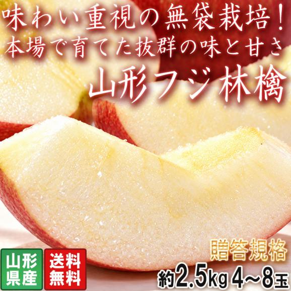 山形サンふじ林檎 早生～晩生 赤りんご 約2.5kg 4～8玉 贈答規格 無袋栽培で濃厚な味と高糖度！美味しさ重視の太陽リンゴ02