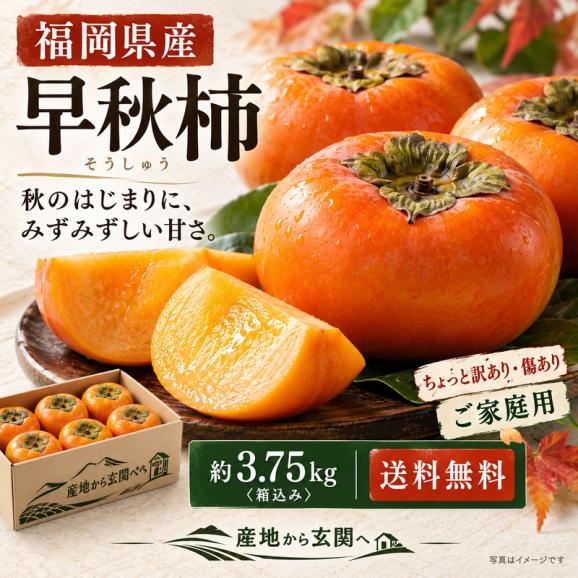 早秋柿 そうしゅうかき 約3.75kg 福岡県産 訳あり 家庭用 緻密な果肉と豊富な果汁！早生品種の完全甘柿02