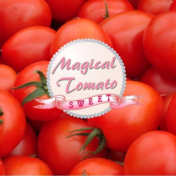 【レクゥ × ワトム農園】まほうのトマト・カレー 3パックセット03