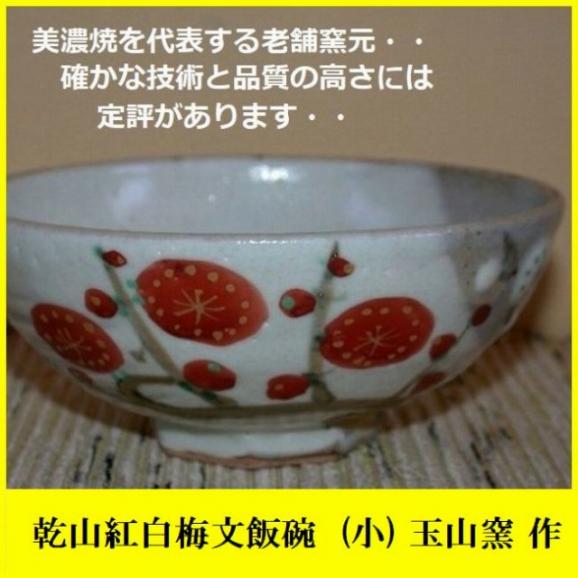 ご飯茶碗 飯碗 陶器 プレゼント 乾山紅白梅茶碗 美濃焼 玉山窯01