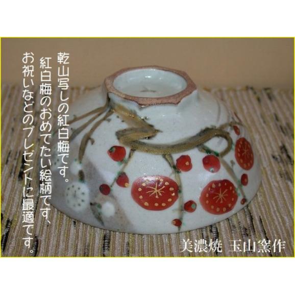 ご飯茶碗 飯碗 陶器 プレゼント 乾山紅白梅茶碗 美濃焼 玉山窯04