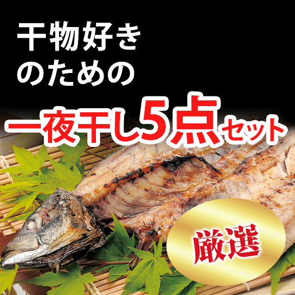 干物好きのための、厳選一夜干し5点セット＊北海道、沖縄、離島除き　送料無料02