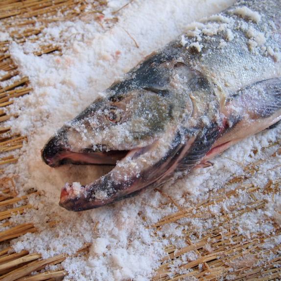 お中元・夏ギフト 【冷凍便】長期熟成秋鮭山漬け 6切 鮭 しゃけ