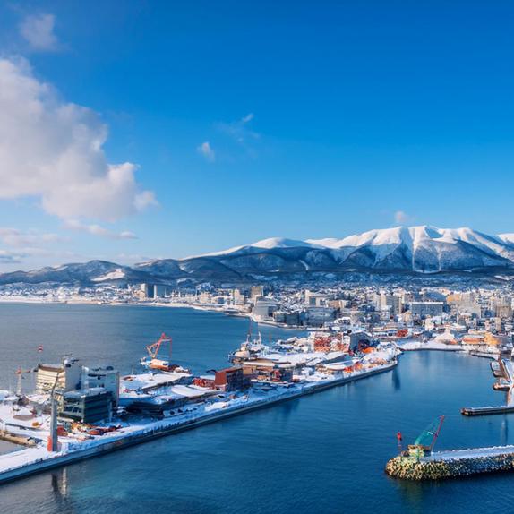 特選【冷凍便】北海道熊石町の【海洋深層水塩】使用 干物セット 真いか
