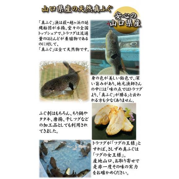 天然ふぐ明太子03