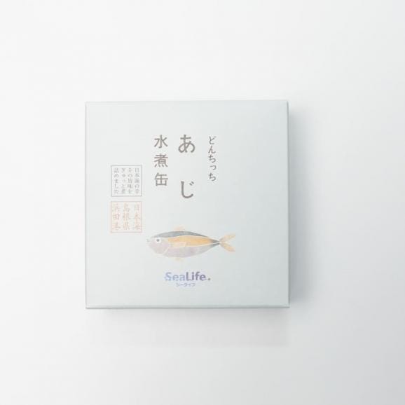 【島根浜田港】どんちっちあじ水煮缶01