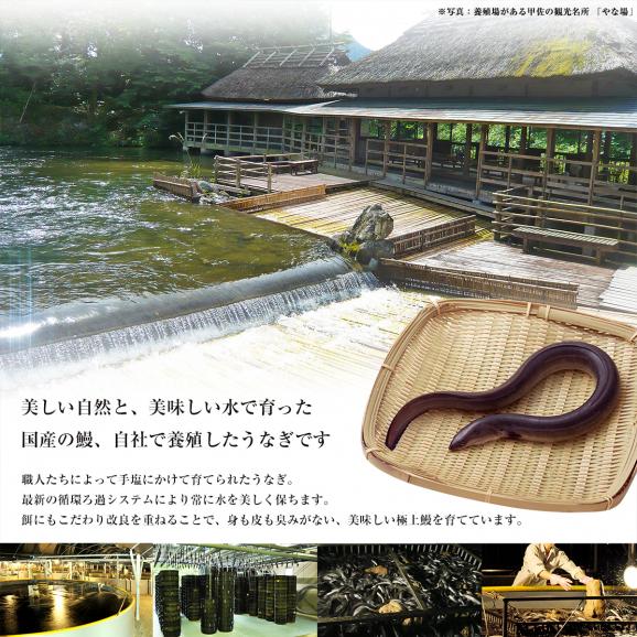 熊本産ブランドうなぎ 香潤鰻＜極＞ 特大2尾セット 自社養殖した当店最高級鰻 送料無料03
