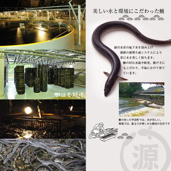 熊本産鰻のおにぎり　2種6個セット【送料無料※北海道、東北、沖縄、離島を除く】たれ・山椒付02