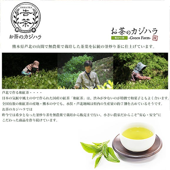 和紅茶 夏摘み在来紅茶（２袋セット）熊本芦北産　メール便送料無料03