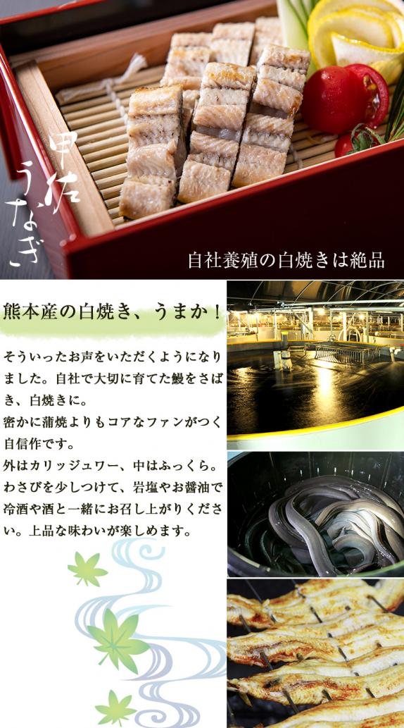 国産 うなぎの白焼き 大サイズ1尾(180g前後)送料無料|鰻屋 源 国産 うなぎの白焼き 大サイズ1尾(180g前後)送料無料|鰻屋 源