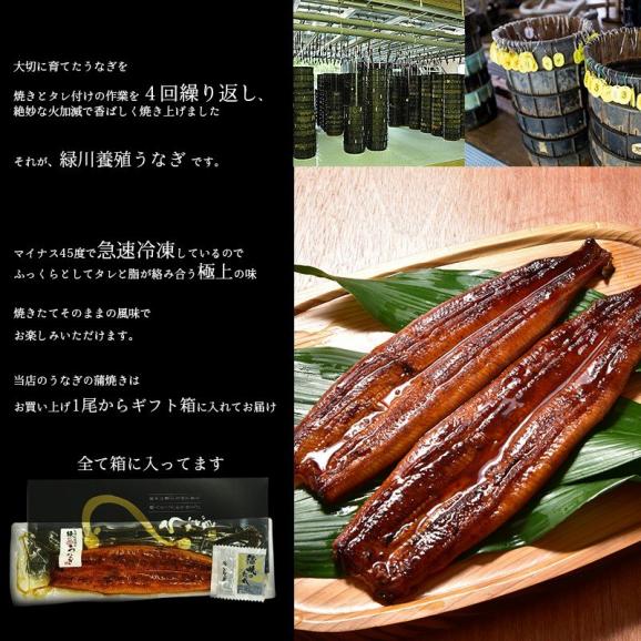 熊本産 鰻の蒲焼き１尾（食べ切り120g前後）＋たれ・山椒付き　送料無料(一部地域を除く)03