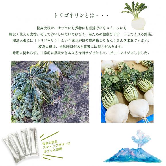 トリゴネリン スティックゼリー  30日分／1箱 桜島大根 ゆず味 健康補助食品 送料無料メール便送料無料02