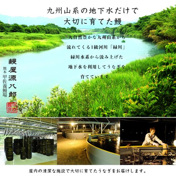 熊本県産うなぎのおにぎり（100g&times;5個セット）鰻の蒲焼を使った贅沢おにぎり 国産 送料無料（一部除く） 父の日02