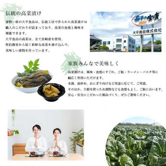【メール便送料無料】大平食品（島原）たかな漬け2袋セット　長崎県産高菜100％02
