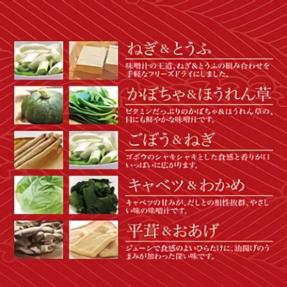 健美の里　極-kiwami- 野菜たっぷりだし味噌汁１3Ａ03