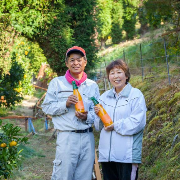 おれんじはーと（無添加100％オレンジジュース）6本【送料無料（北海道・沖縄は５００円）】05